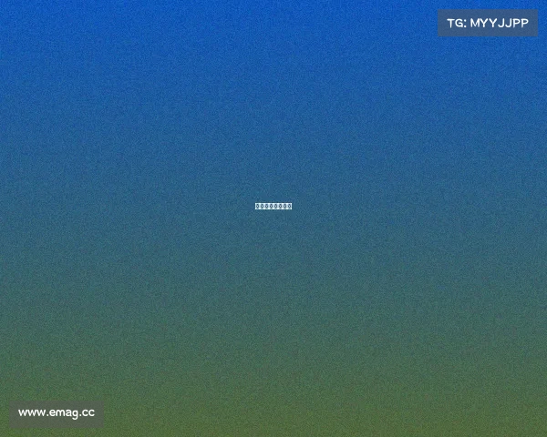 陕西电子竞技协会